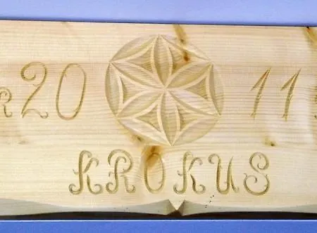 Apartment Krokus Koscielisko